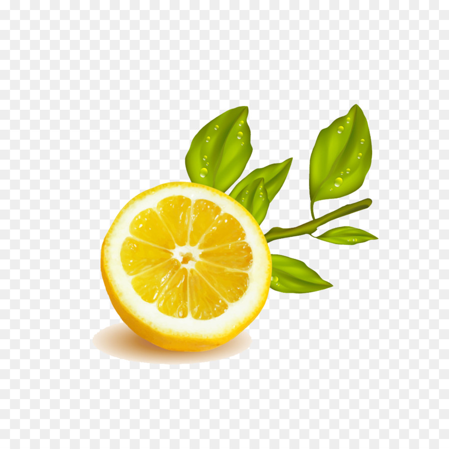 Lemon Buah Jeruk Nipis Ilustrasi Potong Lemon Kuning Unduh Jeruk