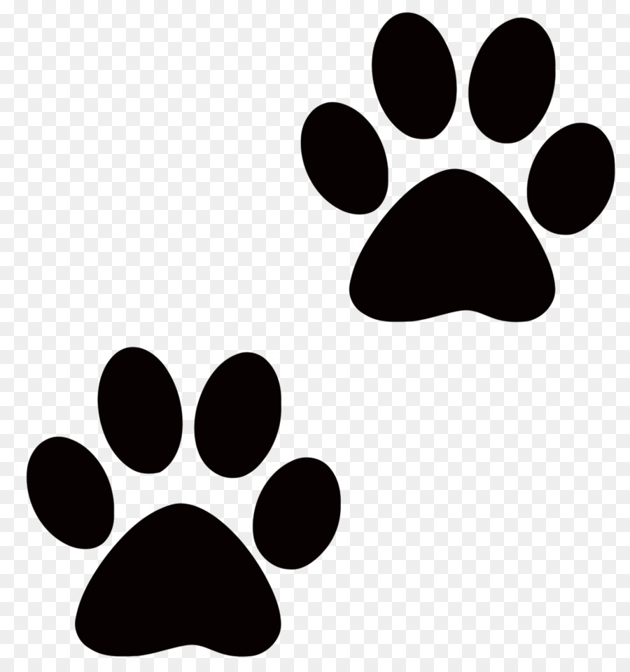 Download Dog Pet sitting Puppy Cat Paw - Inspiration Background ...