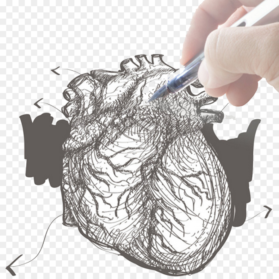 Tengah Gambar Tangan Ilustrasi Tangan Dicat Jantung Pen Elemen Png