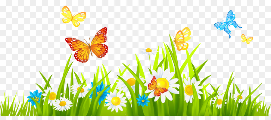 Flower Butterfly png download - 3400*1463 - Free Transparent Flower png