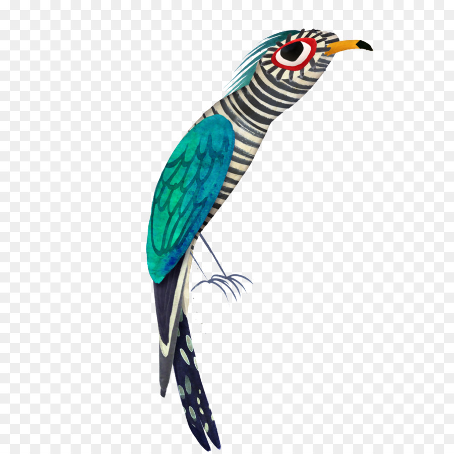 Burung Beo Seni Ilustrasi Illustrator Warna Kreatif Burung Beo