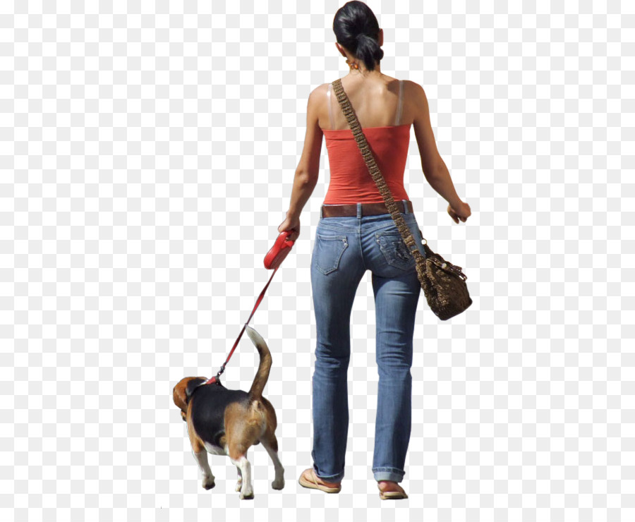 Dog walking Clip art - Photo Of People Walking png download - 721*721