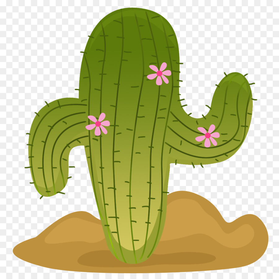  Gambar  Bunga Kaktus  Animasi Gambar  Bunga