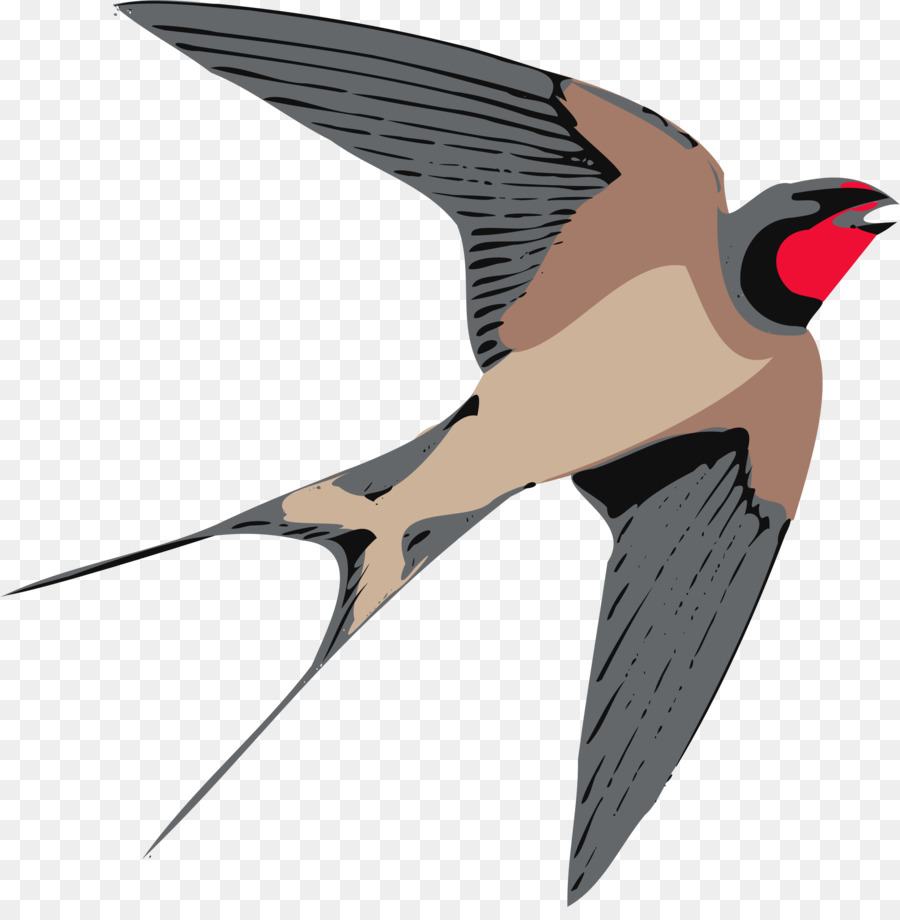 99 Free Download Tattoo Swallow Png HD Tattoo