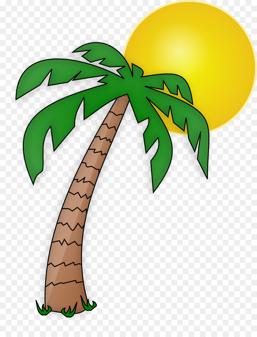 Arecaceae Drawing Tree Cartoon Clip art - palm tree png download - 2000