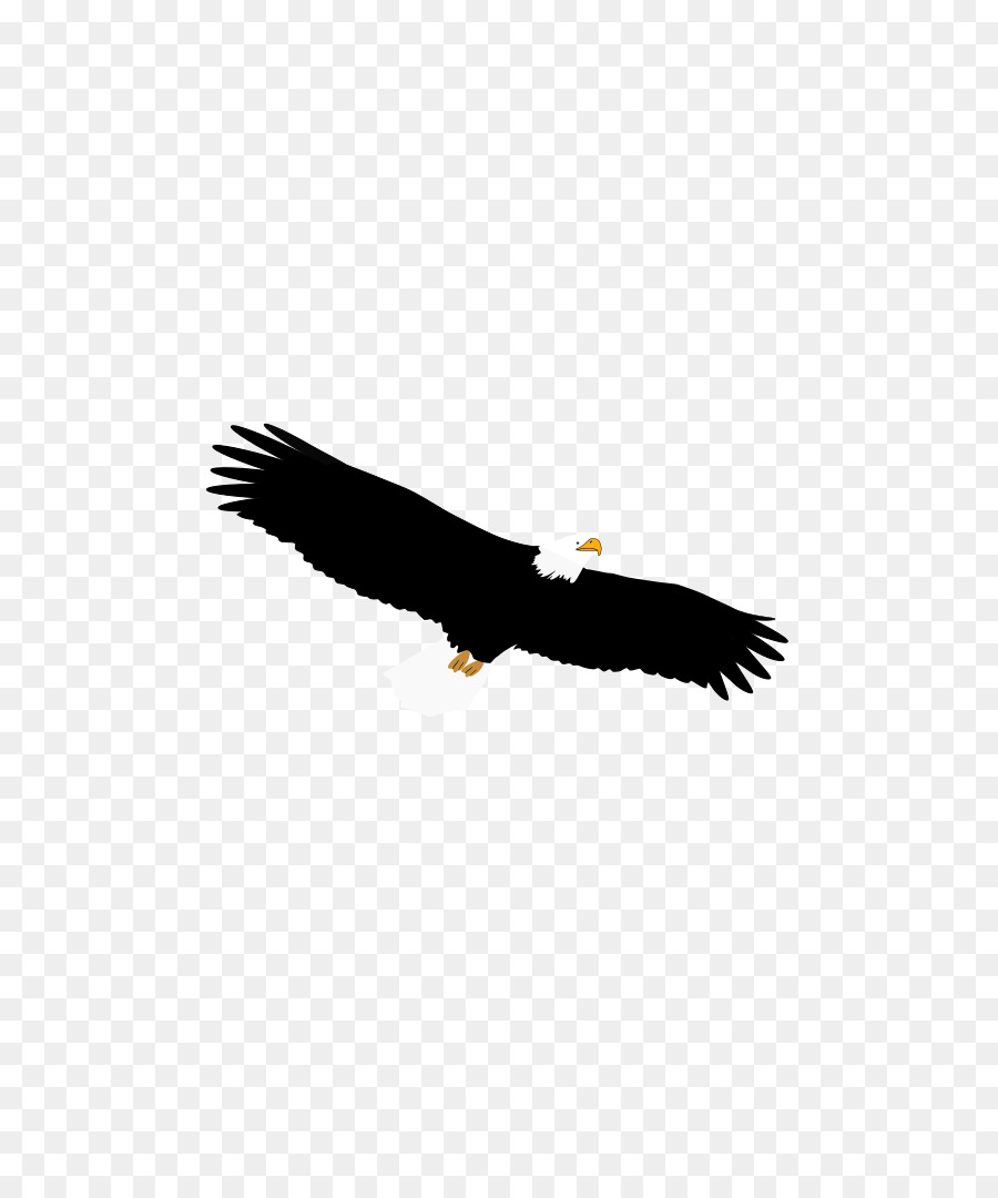 95 Free Tattoo Eagle Png HD Tattoo