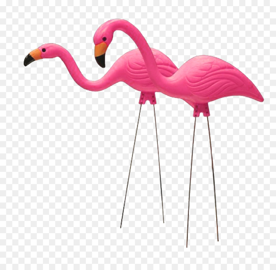 Berlatih mewarnai gambar Gambar Flamingo Untuk Mewarnai