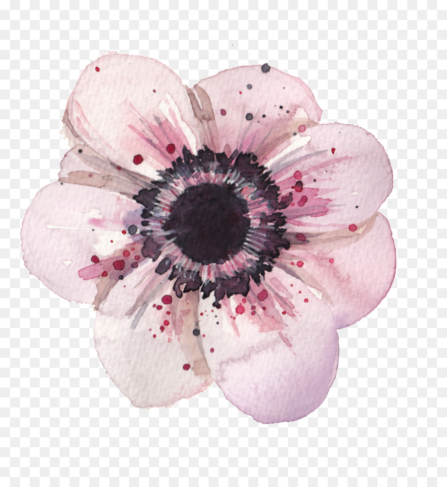 Flower Anemone Watercolor painting Drawing - watercolor flower png