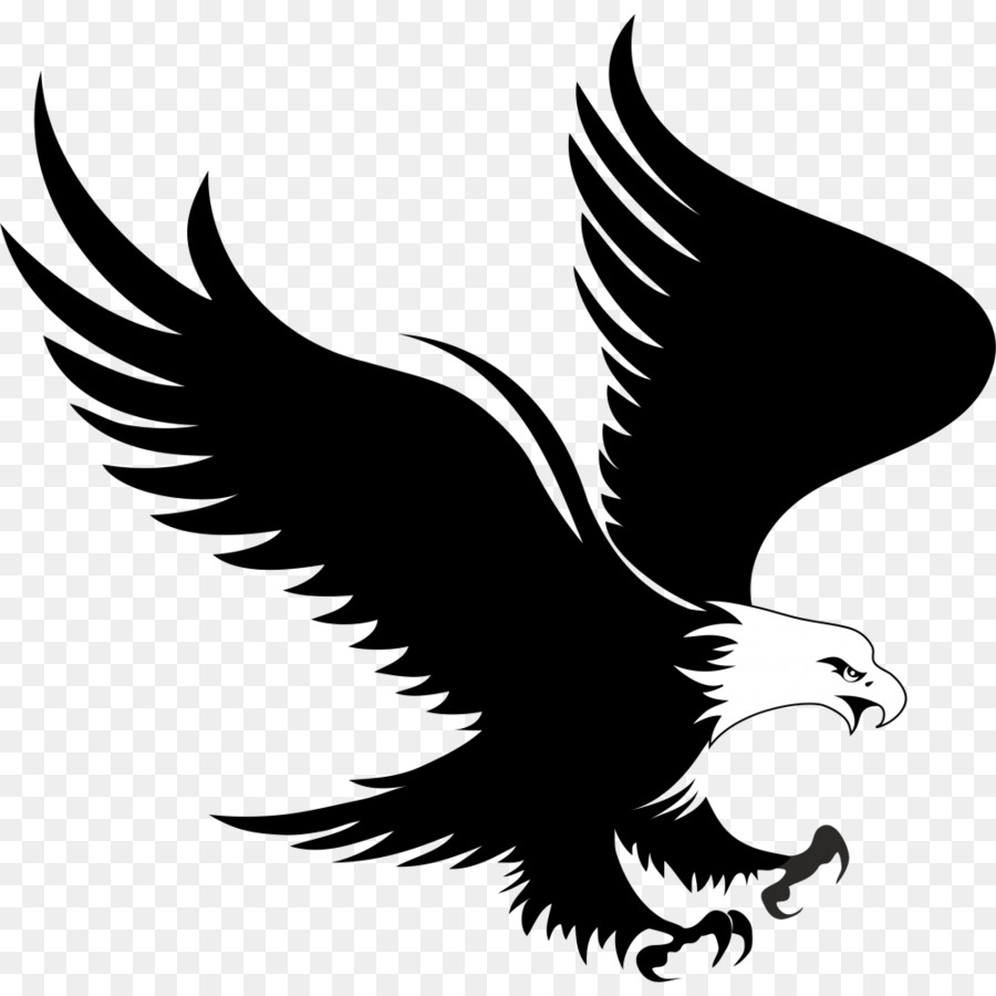 Bald Eagle Logo Clip art - eagle png download - 1000*1000 - Free