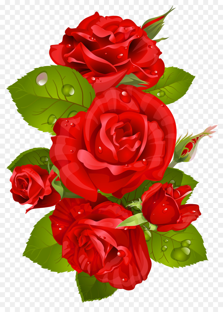 Rose Flower Pink Clip art - red rose png download - 5043*7000 - Free ...