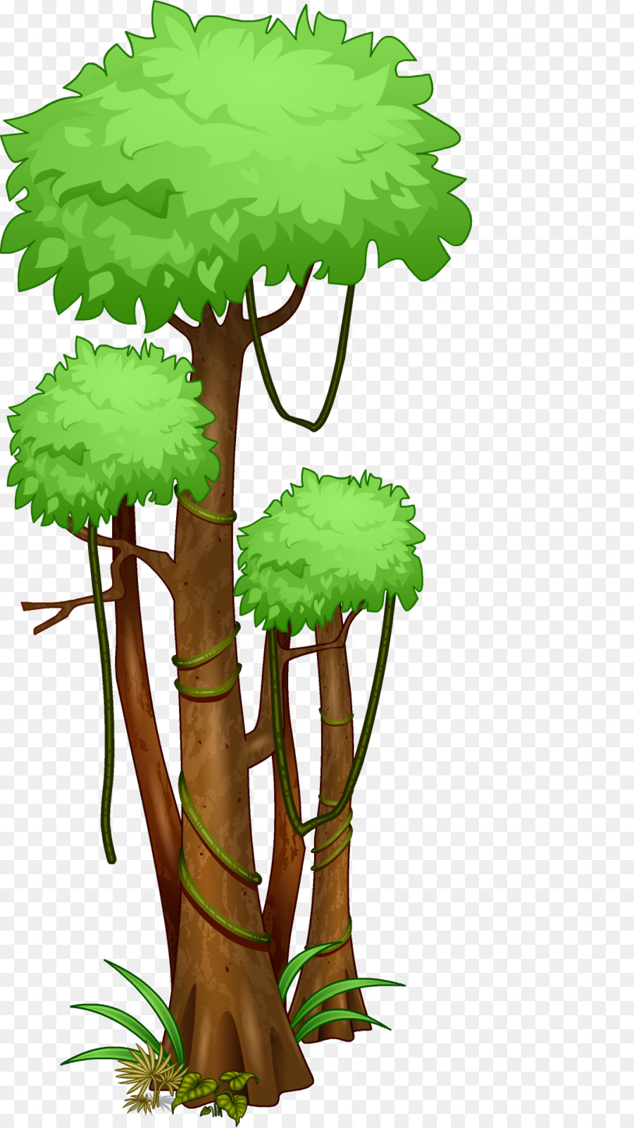 Rainforest Tree Cartoon