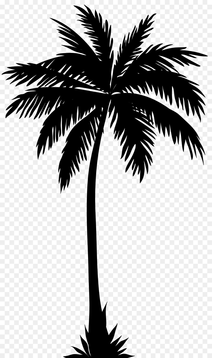 Arecaceae Silhouette Tree Clip art - palm tree 4738*8000 transprent Png