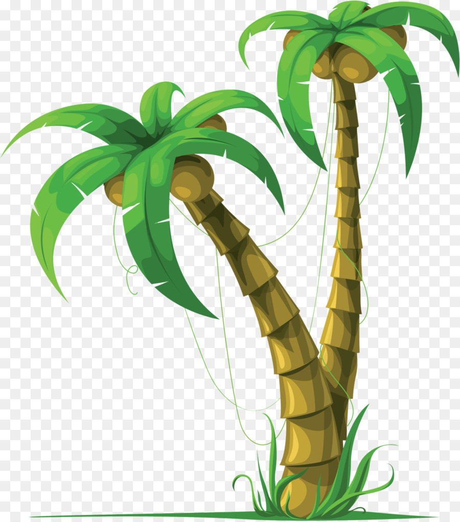 Kelapa Arecaceae Pohon Clip Art Pohon Kelapa Png Unduh 10061138