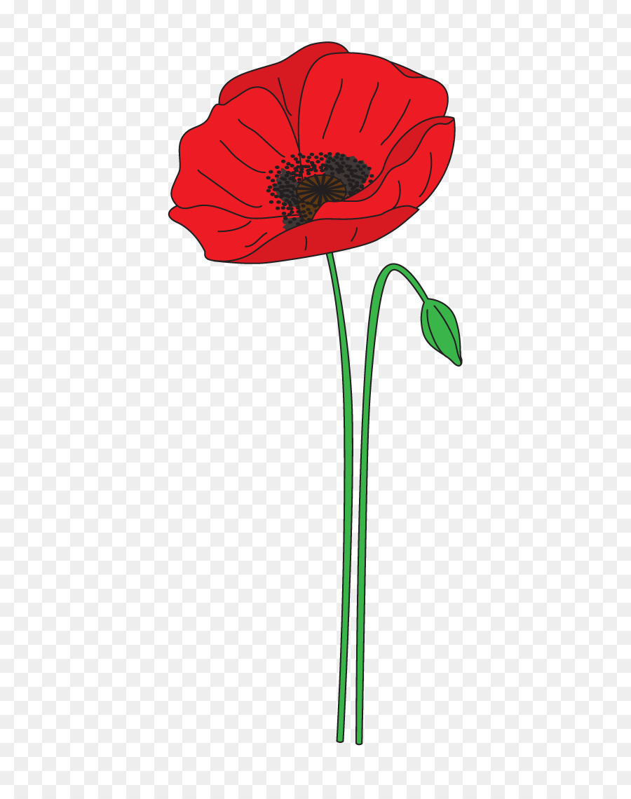 Remembrance poppy Anzac Day Flower Clip art - poppy png download - 539