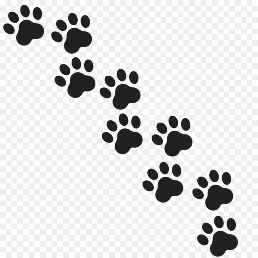 Gray wolf Paw Royalty-free - footprints 1920*1920 transprent Png Free