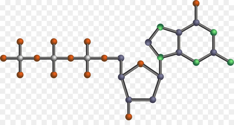 Asam Nukleat Adenin Nukleotida Biomolecule Dna Png Unduh