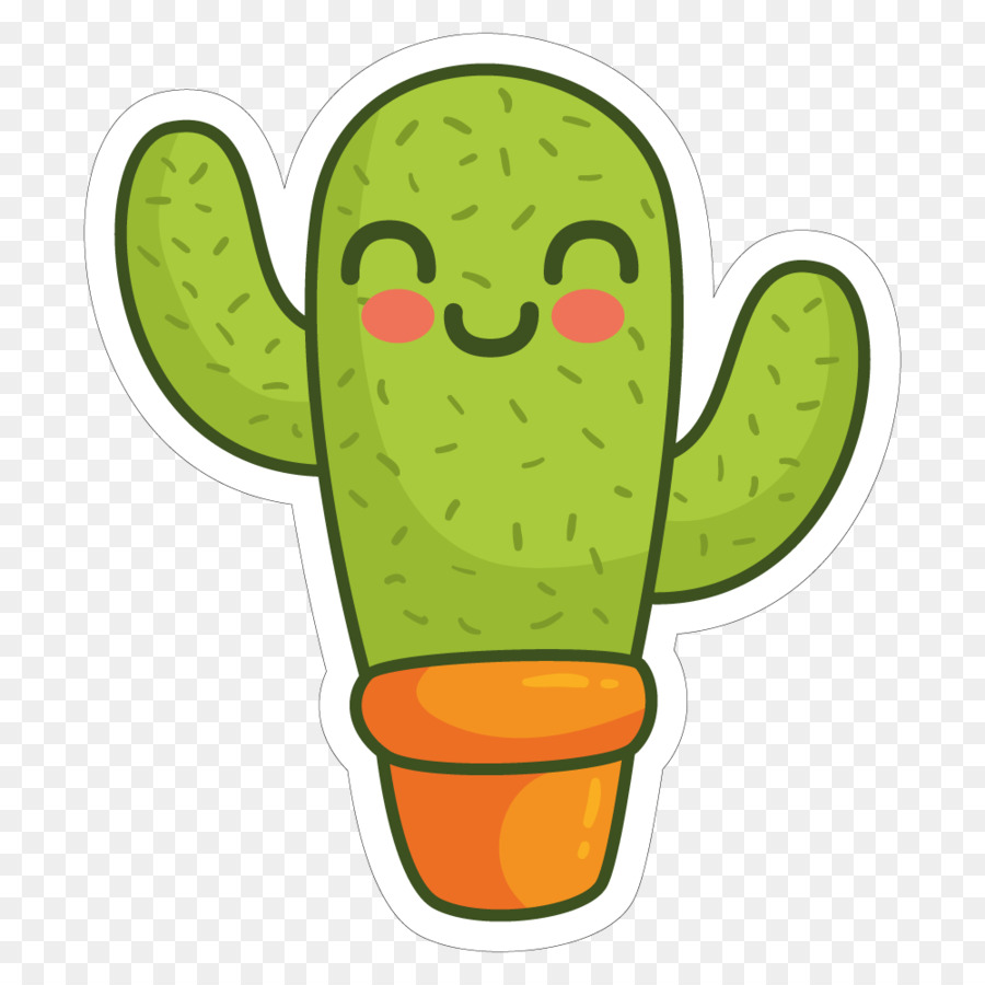 Cactaceae Drawing Square - cactus png download - 1000 1000 