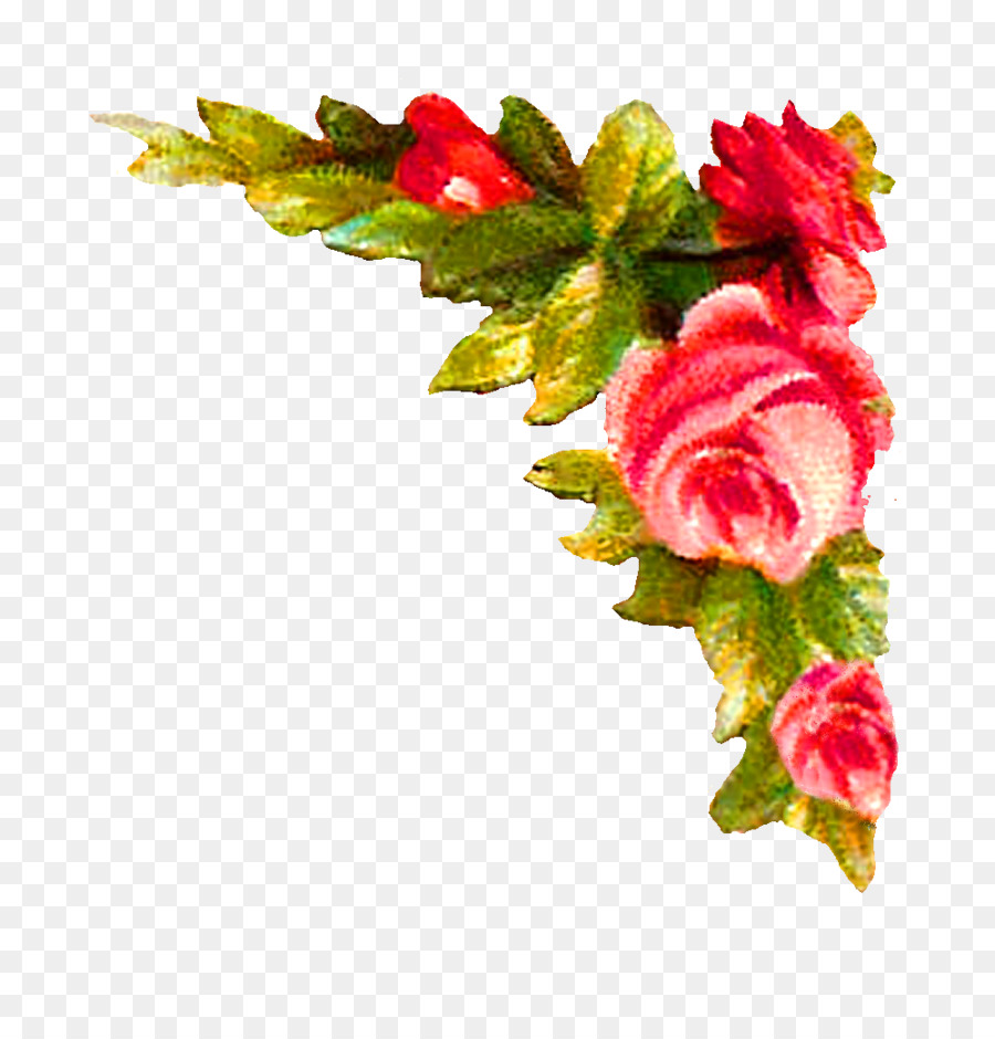 Floral design Flower Rose Clip art - flower corner png download - 1000* ...