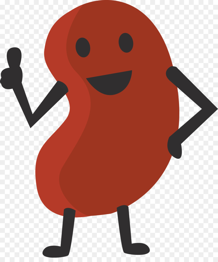 Kidney bean Cartoon Clip art - kidney png download - 1735*2048 - Free