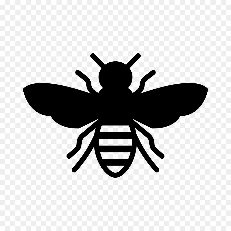 Download European dark bee Insect Stencil Honey bee - bees png ...