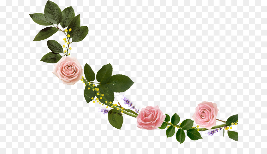 Cut flowers Garden roses Floral design Floristry - floral banner png