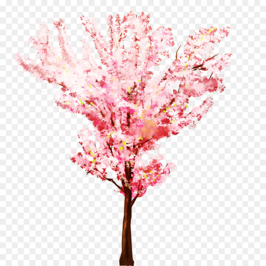 80 Gambar  Ilustrasi Pohon  Sakura  Gambarilus