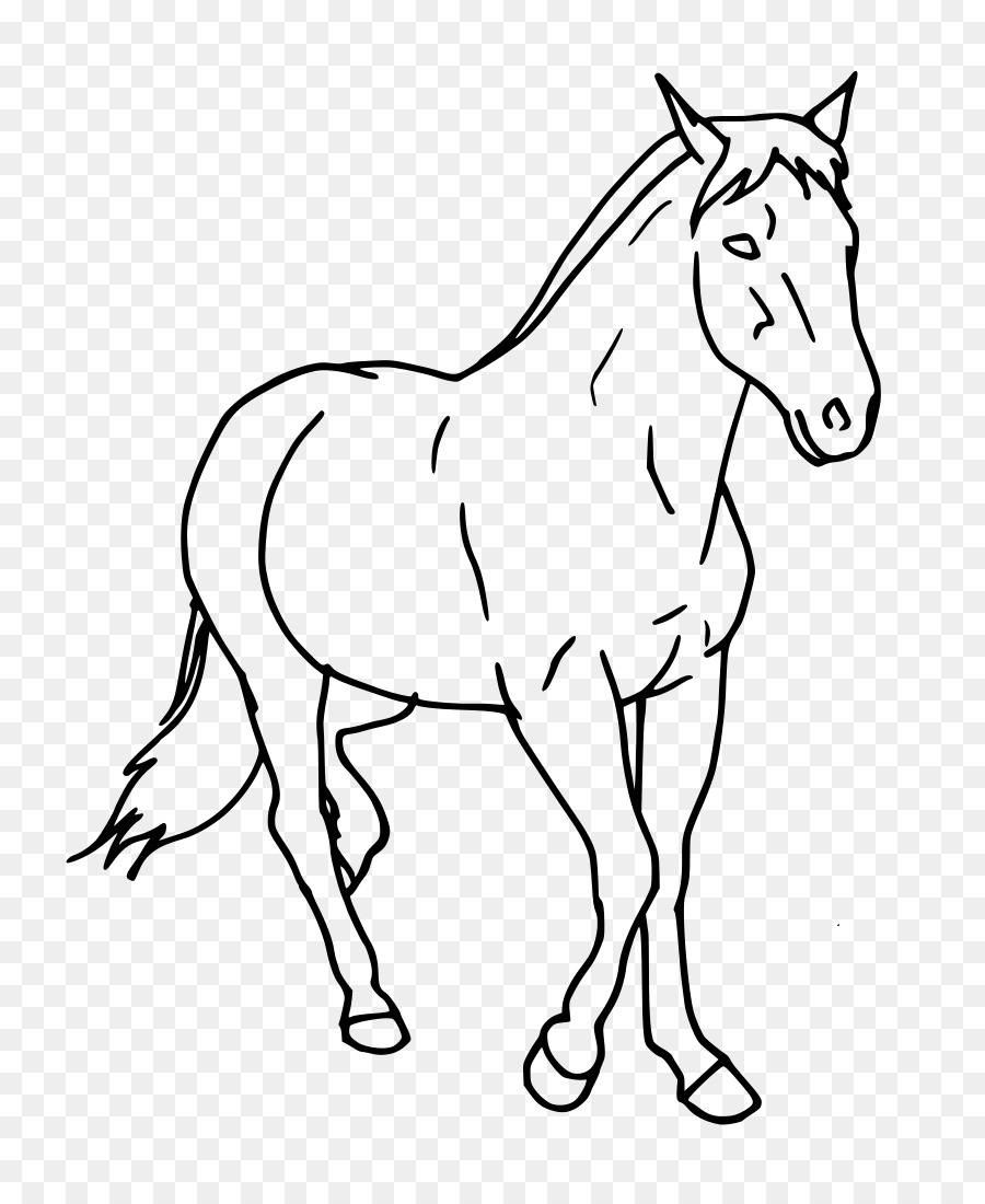 Tennessee Walking Horse Howrse Gambar Berkuda Clip Art Menggambar