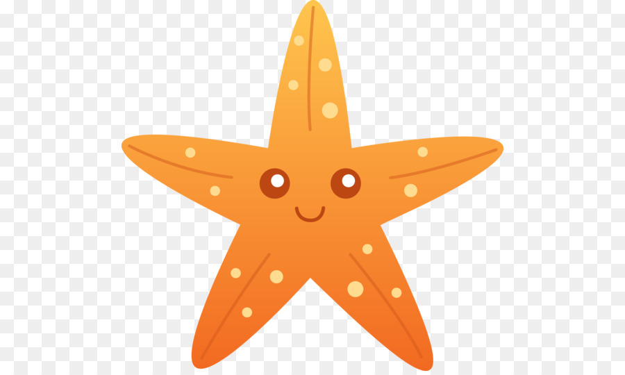 Cartoon Drawing Starfish Clip art - sea star png download - 550*534