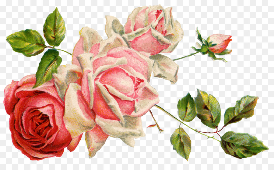 Cut flowers Floral design - BUNGA png download - 1368*834 - Free