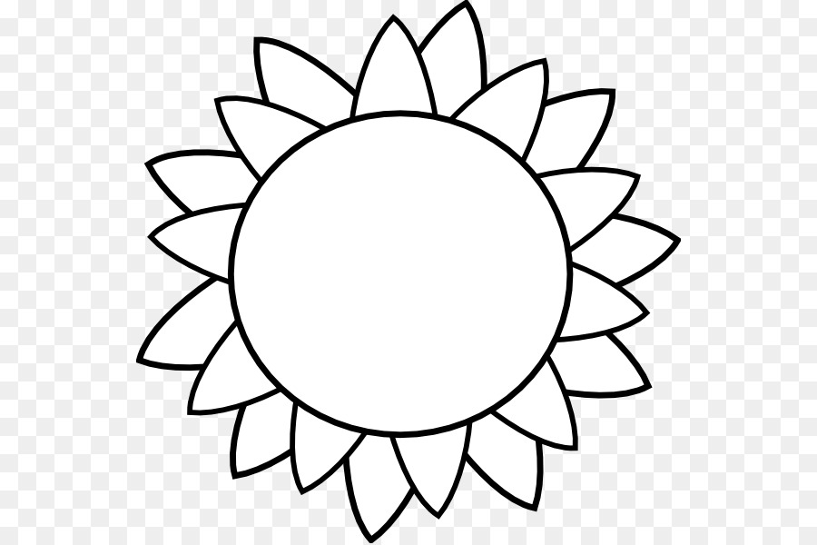 Download Common sunflower Template Drawing Clip art - sunflower ...