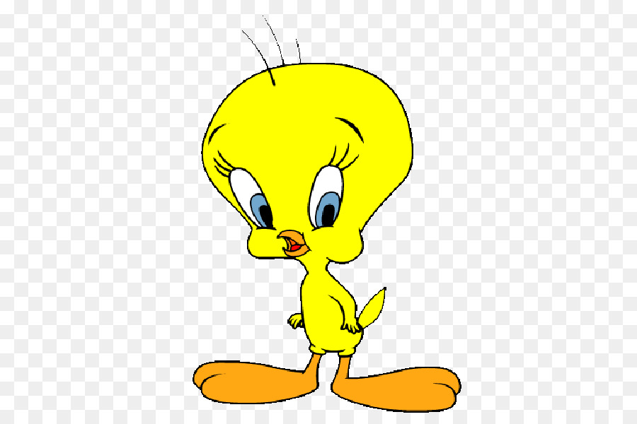 Tweety Bird Cartoon