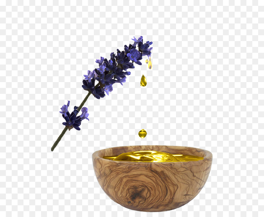 sketsa bunga: Sketsa Gambar Bunga Lavender