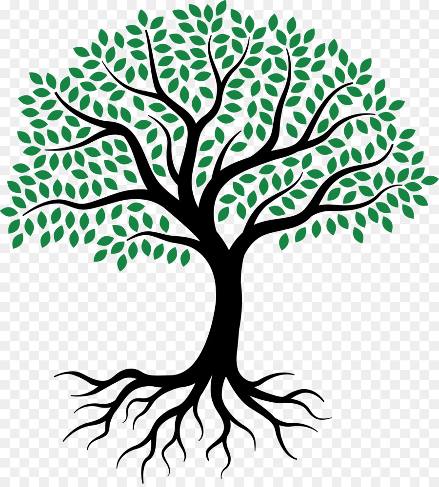Drawing Root Tree Sketch - tree of life png download ...