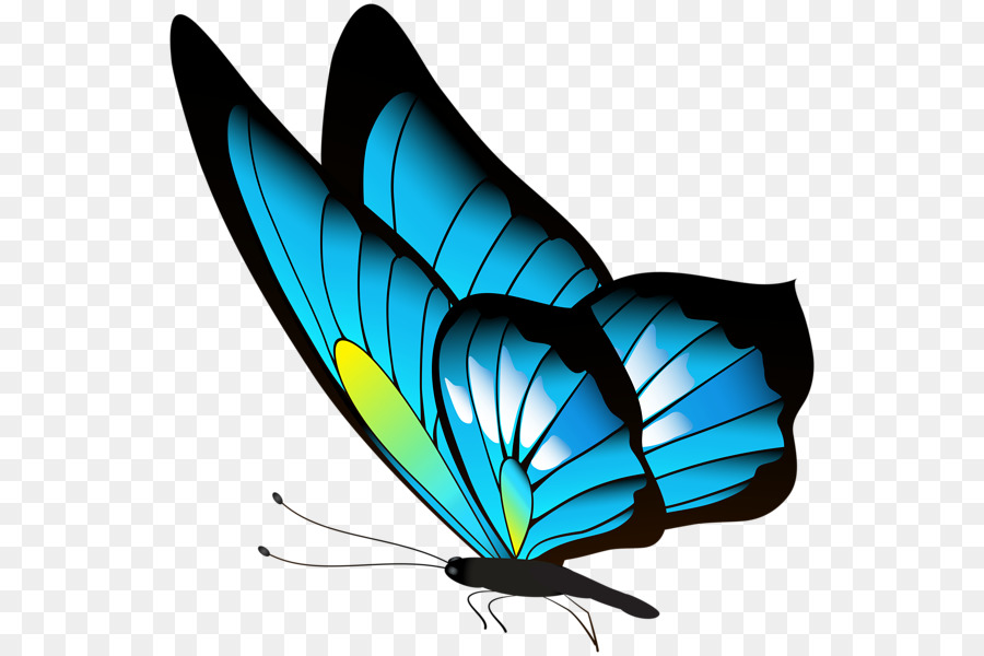 Butterfly Clip art red butterfly 596*600 transprent Png