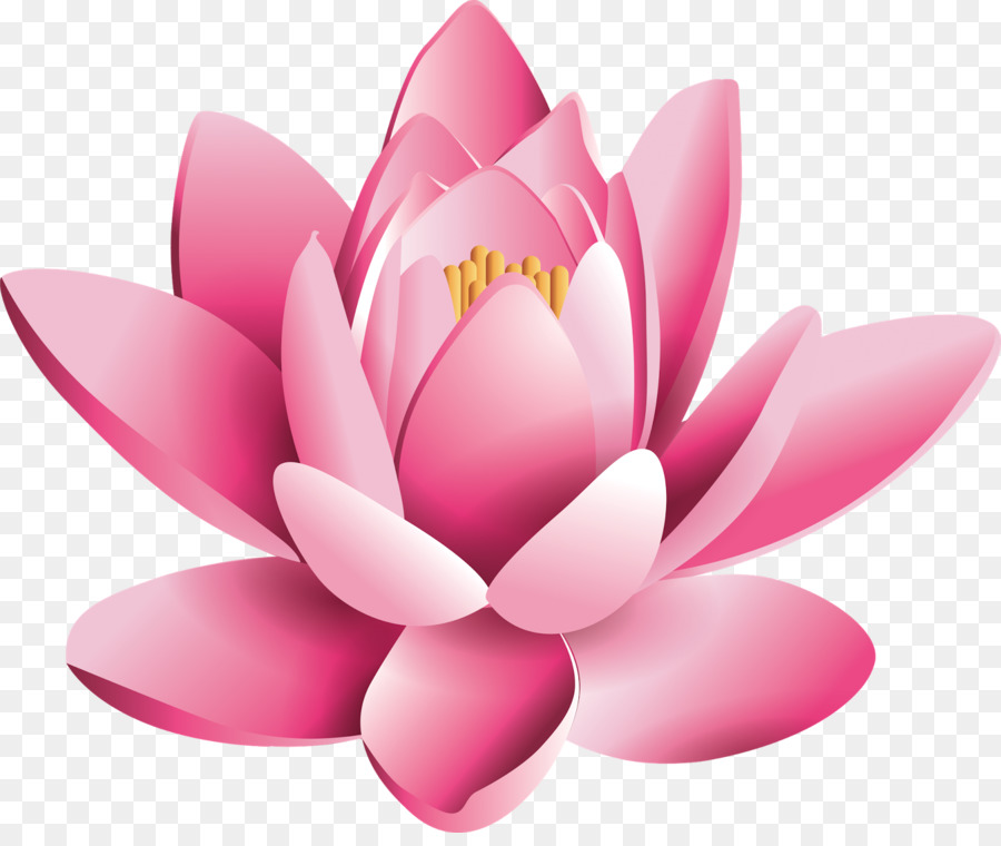 what-is-the-significance-of-lotus-flower-in-hinduism-best-flower-site