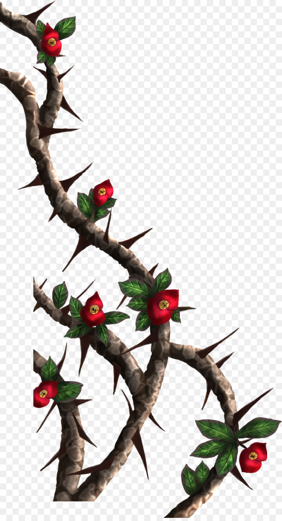 Thorns, spines, and prickles Rose Crown of thorns Drawing Clip art