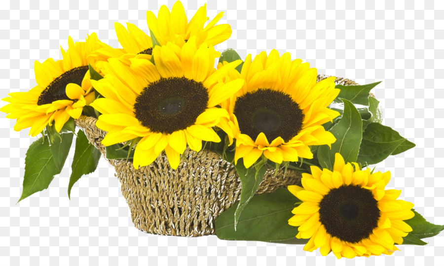 Sonnenblume Minecraft