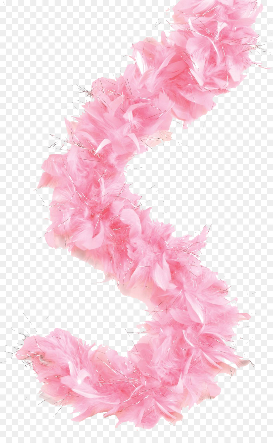 callalily png download - 1406*2256 - Free Transparent FEATHER BOA png