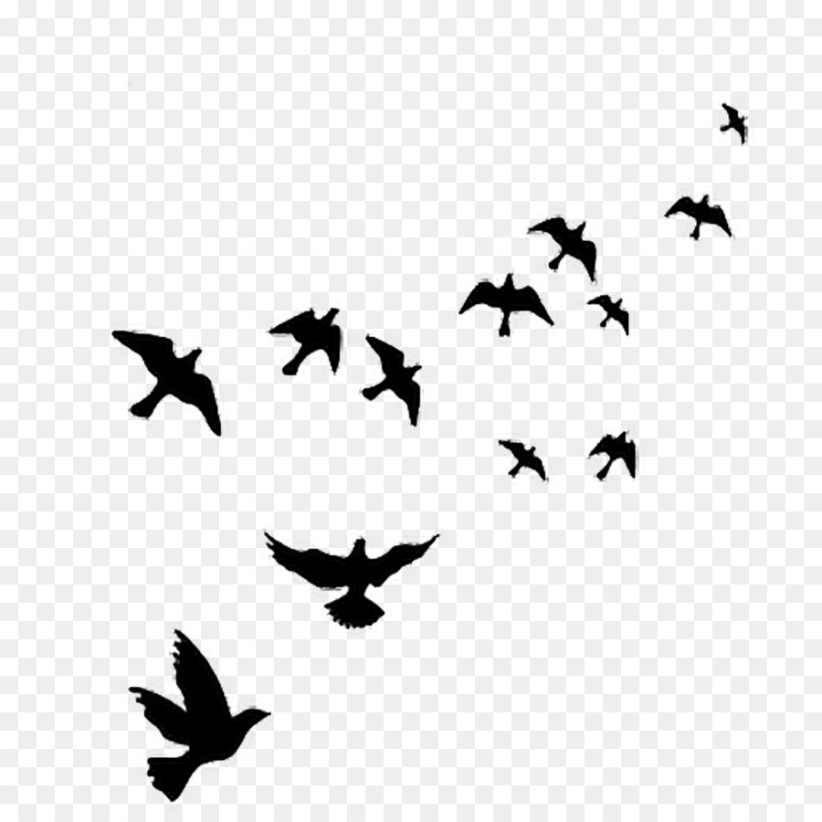 Bird Wall decal Polyvinyl chloride - flying bird png 