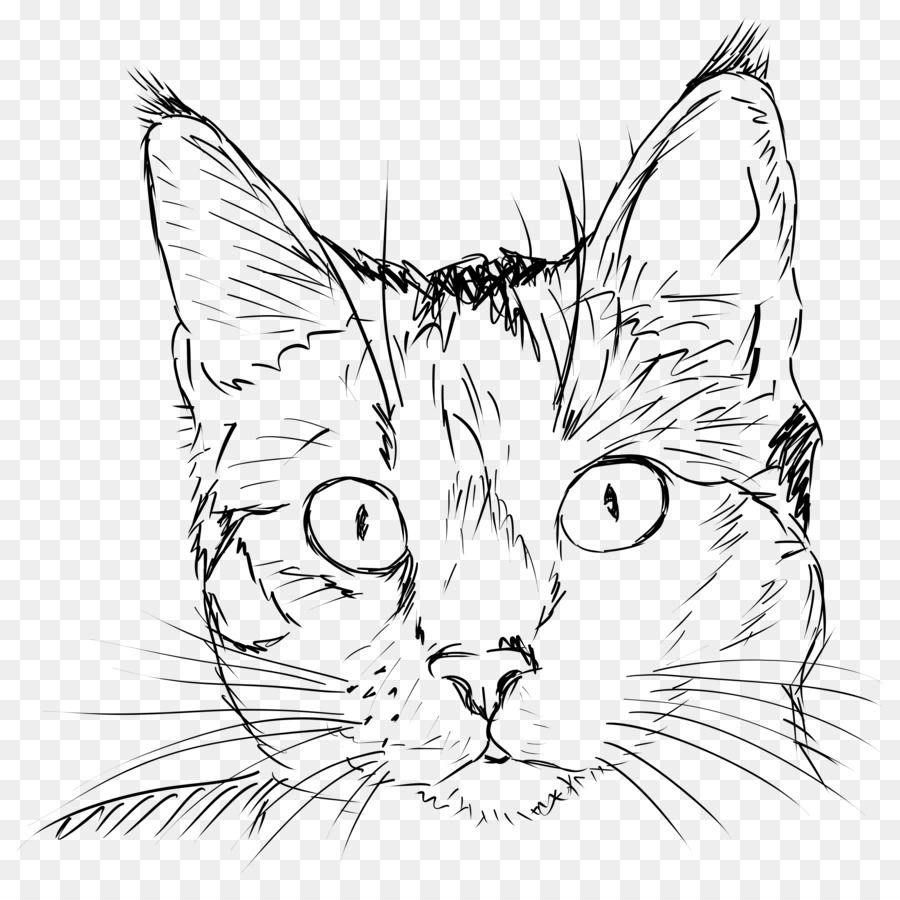 Cat Drawing Kitten Line art - cat face png download - 2500*2471 - Free