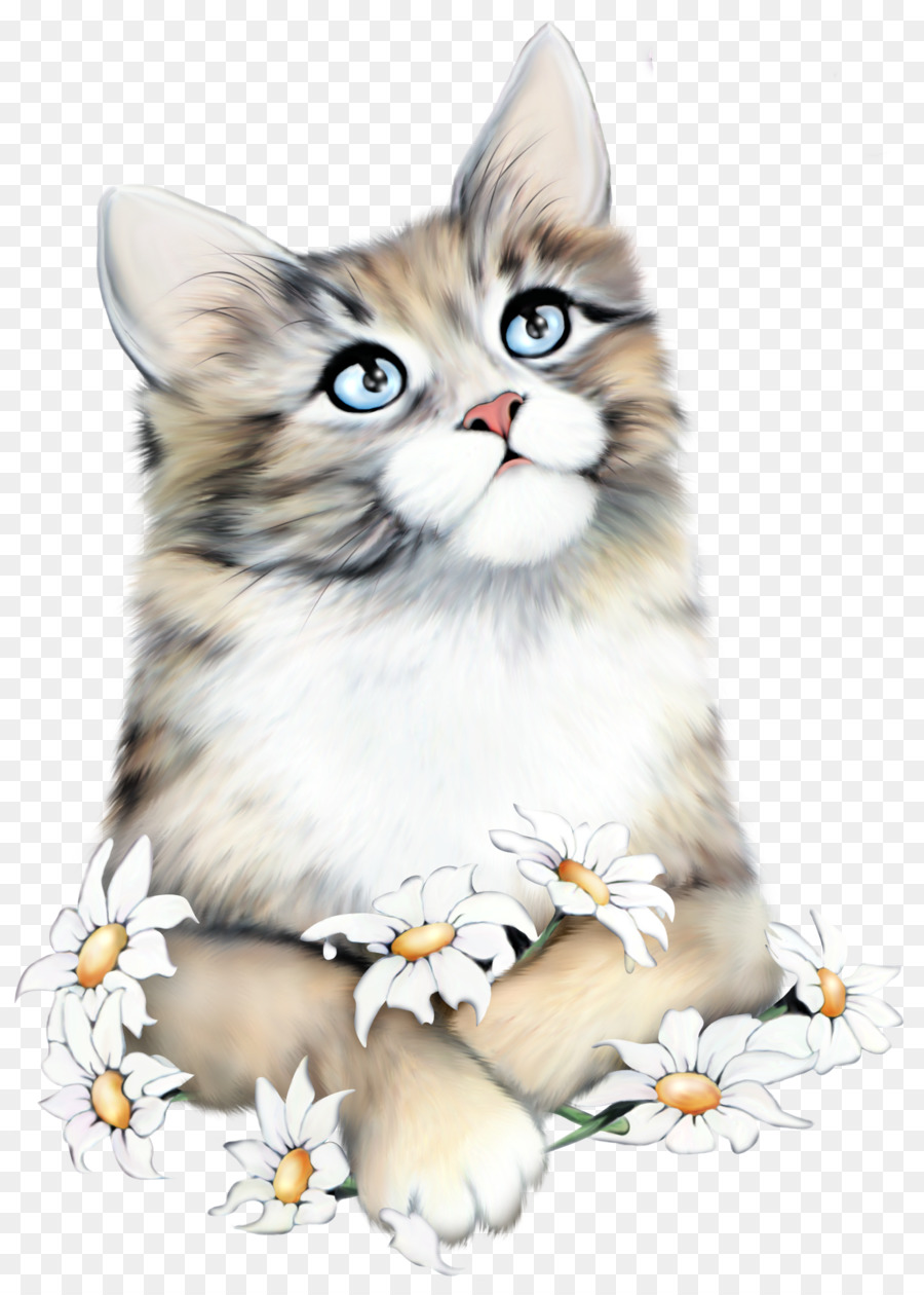 Kucing Kitten Cinta Siang Hari Diary Kucing Lucu Png Unduh 1500