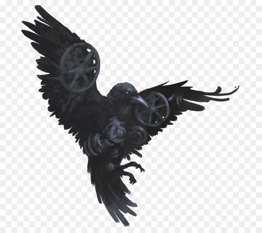 Common raven Drawing Bird YouTube - raven 800*800 transprent Png Free