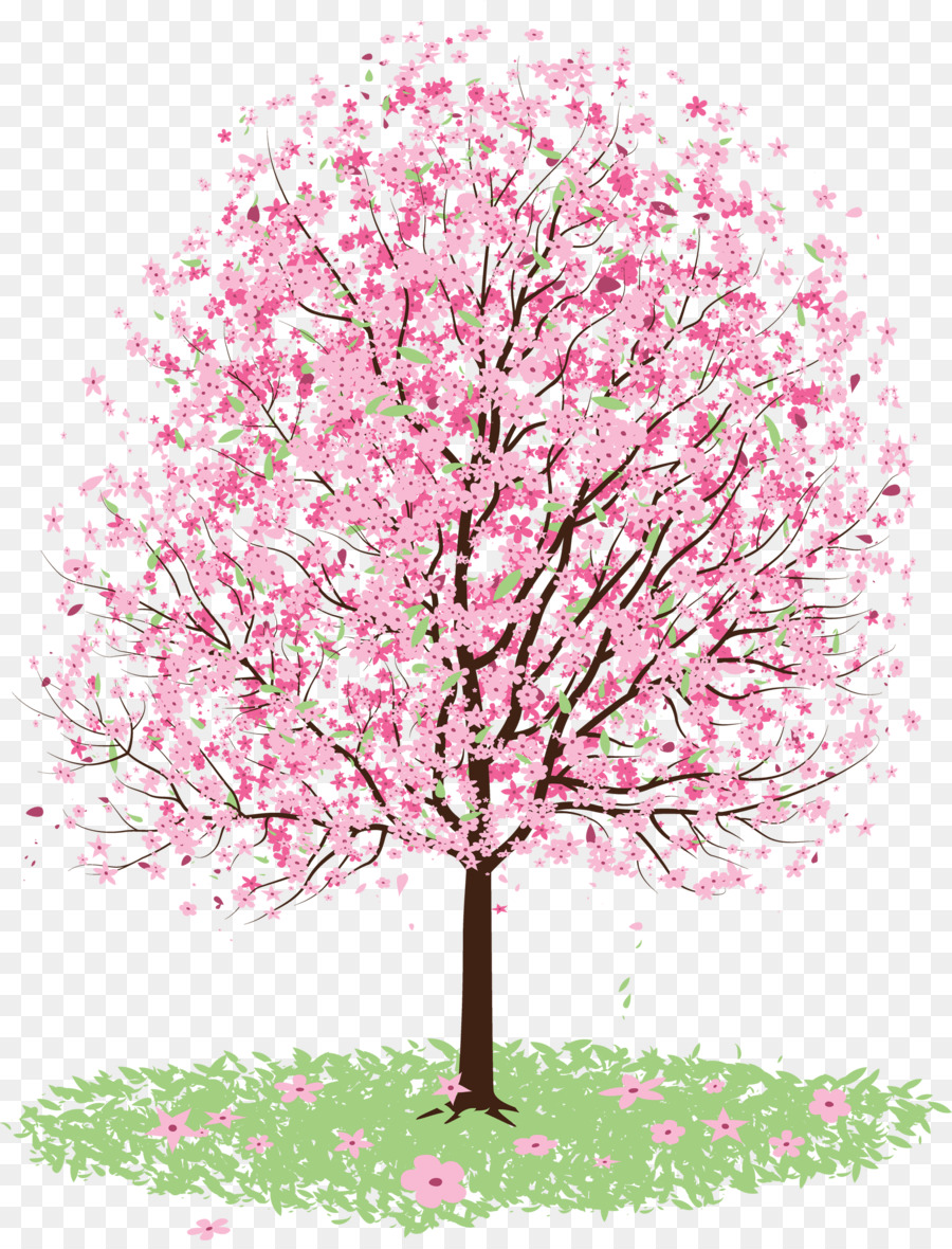 Cherry Blossom Tree Drawing : Cherry Blossom tree painting with oil