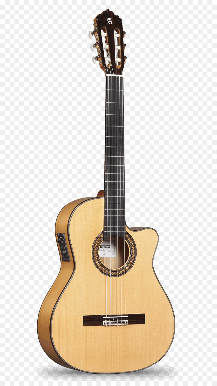 Download 5500 Koleksi Gambar Gitar Flamenco Keren 