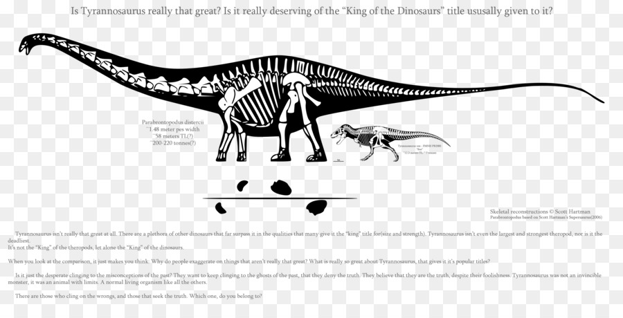 supersaurus fossil