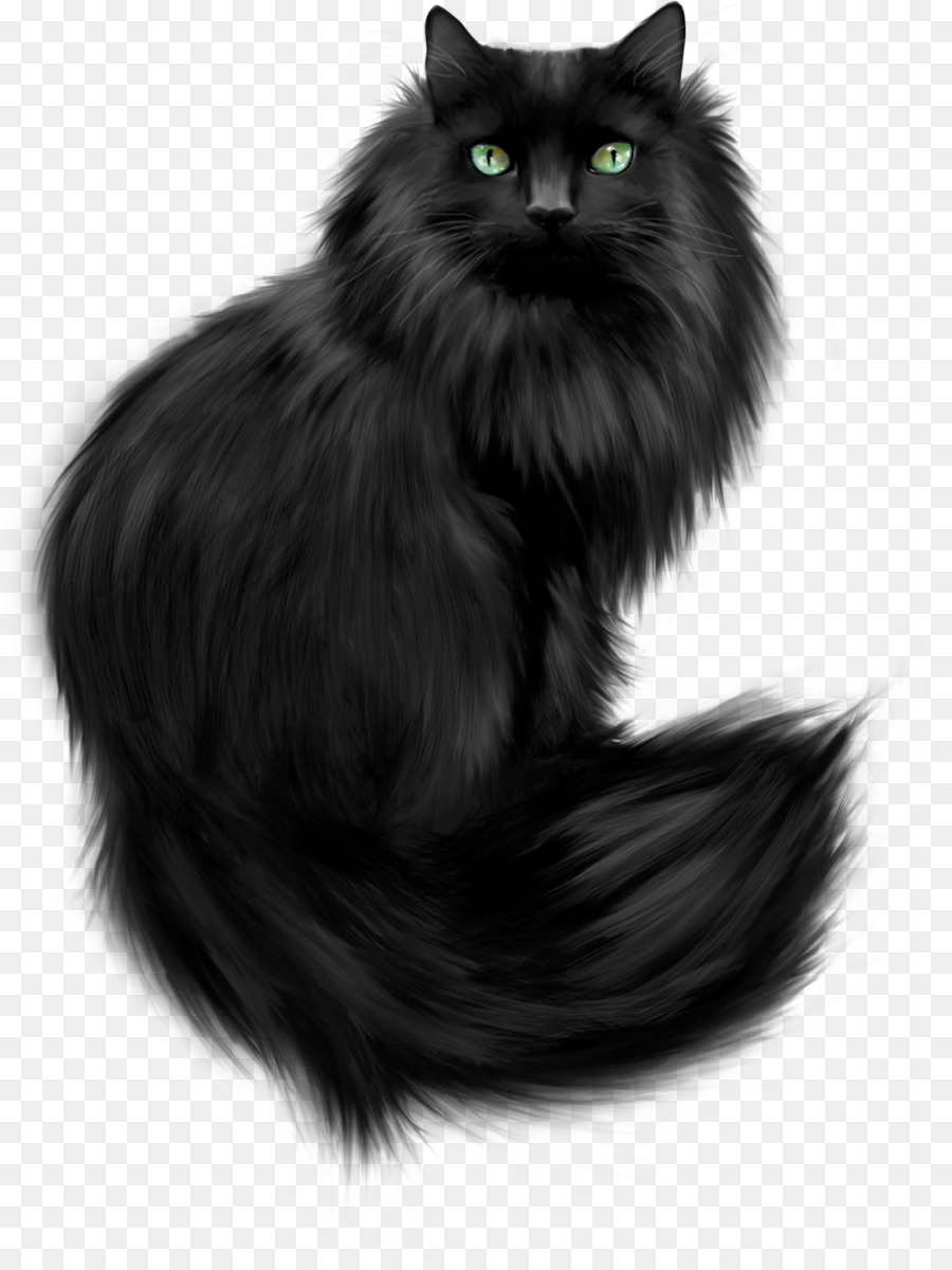 Черный пушистый кот арт