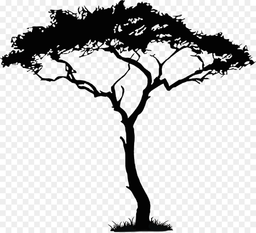 African Trees Clip art - walnut png download - 1024*930 