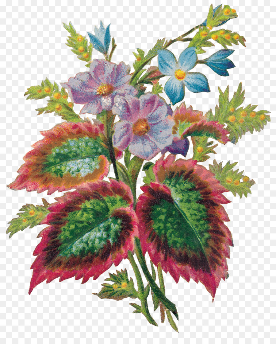 Bunga Potong Bunga Desain Budidaya Bunga Bunga Buket Ilustrasi