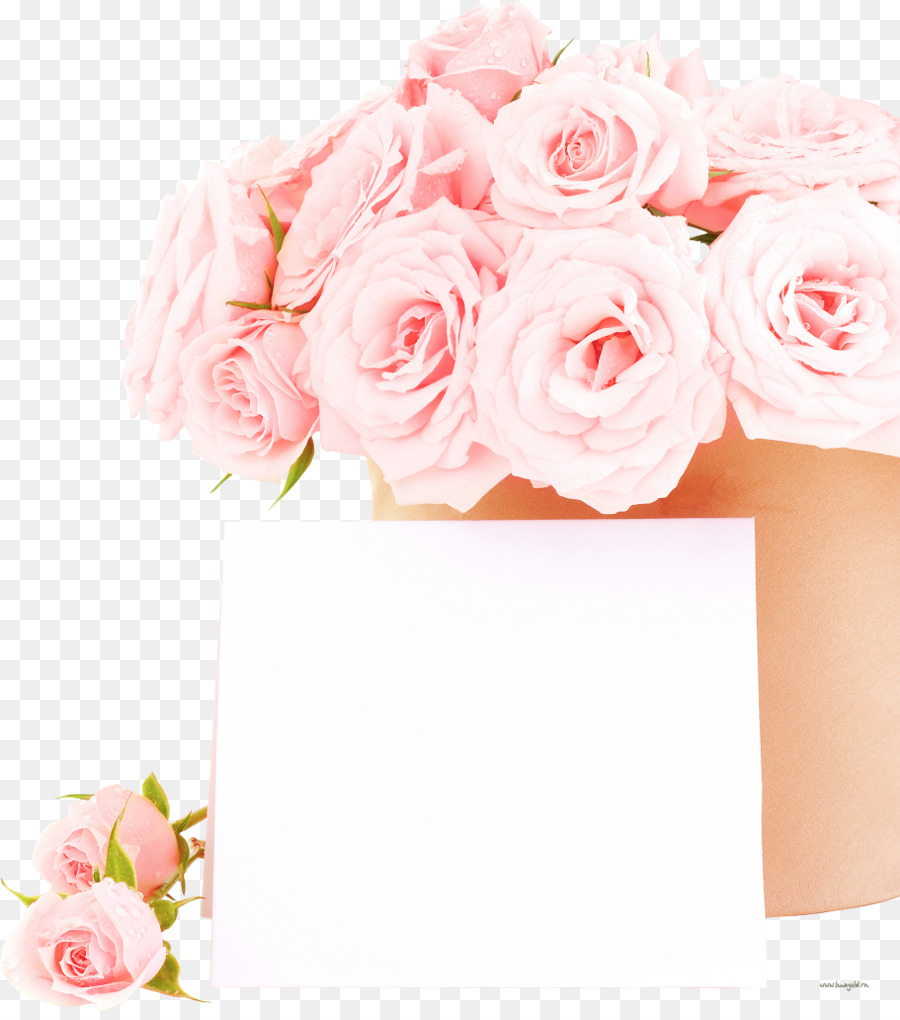 Stock Photography Flower Rose Wedding White Roses Png Download