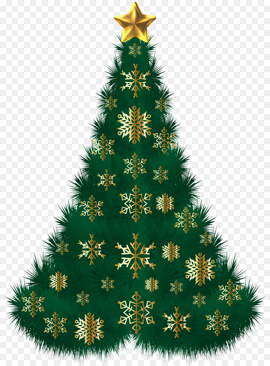 التنوب Png قصاصة فنية شجرة عيد الميلاد شجرة التنوب زخرفة عيد